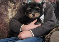 processed/95ed9858-3d8f-489c-9aa6-7597e38333b7/listing/88e80bb3-5a62-4c5d-a7d4-1acf1d8ce21d/247577d3-ce74-42d8-8e08-137e2a178f63