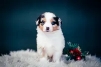 processed/95ef26fc-a4ac-4127-a780-171a40aa1f37/listing/21a5e173-dbeb-4203-ae0e-a278814adecd/213c6c2d-c6ad-4a90-aef9-de65923d0370