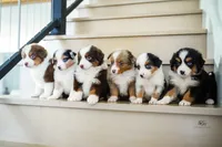 processed/95ef26fc-a4ac-4127-a780-171a40aa1f37/listing/21a5e173-dbeb-4203-ae0e-a278814adecd/7d27b667-fffd-45f3-b15e-f8a158ea80f4