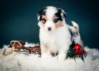 processed/95ef26fc-a4ac-4127-a780-171a40aa1f37/listing/21a5e173-dbeb-4203-ae0e-a278814adecd/c36cecde-1701-40ee-b730-a4e598887337