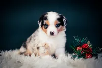 processed/95ef26fc-a4ac-4127-a780-171a40aa1f37/listing/21a5e173-dbeb-4203-ae0e-a278814adecd/ccabe1ed-ffcf-4784-bfa8-2153fd5dc1dd