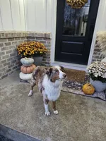 processed/95ef26fc-a4ac-4127-a780-171a40aa1f37/listing/21a5e173-dbeb-4203-ae0e-a278814adecd/ddaefa89-9409-494a-8c8e-598e4abaefa1