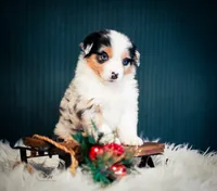 processed/95ef26fc-a4ac-4127-a780-171a40aa1f37/listing/21a5e173-dbeb-4203-ae0e-a278814adecd/f9d6c6f7-916b-4e38-9c60-243ba5803e32