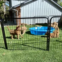 processed/95efcaf7-59da-4ab7-b631-3fafea6fd445/facility/0647de04-5cca-4903-8118-b1ee8ee3a9c9