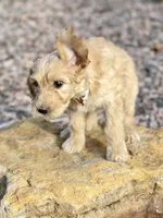 processed/95efcaf7-59da-4ab7-b631-3fafea6fd445/facility/06a63863-184d-496b-a161-45ae5d24480c