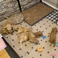 processed/95efcaf7-59da-4ab7-b631-3fafea6fd445/facility/2c209fd5-cecb-4d61-9991-dee0dd2c89ef