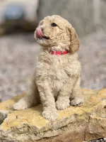 processed/95efcaf7-59da-4ab7-b631-3fafea6fd445/facility/3cf44c80-2538-419a-85bf-7875beda46f0