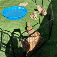 processed/95efcaf7-59da-4ab7-b631-3fafea6fd445/facility/403ccf84-31e3-4be3-8e0a-b5178a124fd1