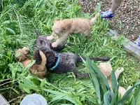 processed/95efcaf7-59da-4ab7-b631-3fafea6fd445/facility/68c09920-6b01-420a-9dec-ecea8401460f