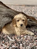 processed/95efcaf7-59da-4ab7-b631-3fafea6fd445/facility/6fe5c68b-c340-4569-aad7-a61b8c3b9cdf