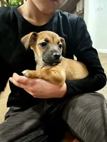 processed/95f7e90c-0fd8-4cc5-9ff9-b0af126cadbf/listing/2e79f13d-3bf1-4764-bb43-cea3131c7772/0aa5558a-f737-4dd3-9b53-e11ee0e604a9