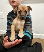 processed/95f7e90c-0fd8-4cc5-9ff9-b0af126cadbf/listing/2e79f13d-3bf1-4764-bb43-cea3131c7772/1752f028-ce55-438e-92c9-334d8ba85d46