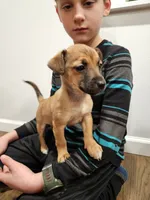 processed/95f7e90c-0fd8-4cc5-9ff9-b0af126cadbf/listing/2e79f13d-3bf1-4764-bb43-cea3131c7772/5032a8fc-86e7-4489-9b03-179adae1fbfa