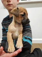 processed/95f7e90c-0fd8-4cc5-9ff9-b0af126cadbf/listing/2e79f13d-3bf1-4764-bb43-cea3131c7772/a3aa992e-f558-4fdd-adc7-6a8530f464ea