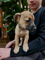 processed/95f7e90c-0fd8-4cc5-9ff9-b0af126cadbf/listing/2e79f13d-3bf1-4764-bb43-cea3131c7772/d33c5eb1-80d8-4516-a4f9-83c8bb7bdce4