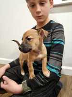 processed/95f7e90c-0fd8-4cc5-9ff9-b0af126cadbf/listing/2e79f13d-3bf1-4764-bb43-cea3131c7772/dc484815-e654-49cf-a23d-9a60a45cf9fd