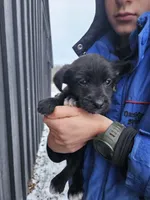 processed/95f7e90c-0fd8-4cc5-9ff9-b0af126cadbf/listing/66ff3d02-86c2-4ba2-82e0-9dc9123f03b2/1dacba6b-e8fc-42af-b2e5-f6a261a98a6f