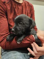 processed/95f7e90c-0fd8-4cc5-9ff9-b0af126cadbf/listing/66ff3d02-86c2-4ba2-82e0-9dc9123f03b2/5942d4e2-dc0c-460b-aa72-5c728d54b2f6