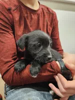 processed/95f7e90c-0fd8-4cc5-9ff9-b0af126cadbf/listing/66ff3d02-86c2-4ba2-82e0-9dc9123f03b2/d2fb4530-f536-42ae-bcef-9af10abf73fd