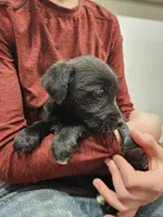 processed/95f7e90c-0fd8-4cc5-9ff9-b0af126cadbf/listing/66ff3d02-86c2-4ba2-82e0-9dc9123f03b2/d5edf4da-b433-414c-a5b2-1997b7bc6bbb