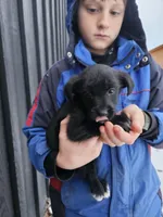 processed/95f7e90c-0fd8-4cc5-9ff9-b0af126cadbf/listing/66ff3d02-86c2-4ba2-82e0-9dc9123f03b2/f36036b0-5daf-4a71-ac35-3bcee4026c20