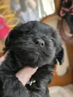 processed/95faa3ab-a964-4306-b849-3fd518abf66c/listing/118cd03f-74bb-4272-9ebc-6aa627d926e2/6da1de5c-295e-438f-8a58-083d37524a05