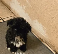 processed/95faa3ab-a964-4306-b849-3fd518abf66c/listing/1c8b2553-e194-4449-ab0a-8c32900f841f/5eb40db3-c4ed-4553-96b0-d9ba9fab1d6c