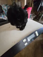 processed/95faa3ab-a964-4306-b849-3fd518abf66c/listing/66469a8c-e633-4b1e-ba01-5d815d57c76e/0cac1f58-d646-4c16-a2b5-08a59947a495