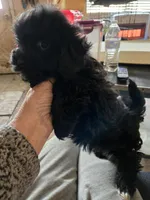 processed/95faa3ab-a964-4306-b849-3fd518abf66c/listing/66469a8c-e633-4b1e-ba01-5d815d57c76e/1d5d6570-4995-4537-b19d-dddc5321f796