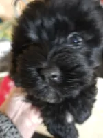 processed/95faa3ab-a964-4306-b849-3fd518abf66c/listing/66469a8c-e633-4b1e-ba01-5d815d57c76e/6cbc359c-40c9-47e9-bba5-aeb2eaea02a9