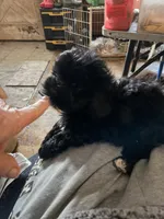 processed/95faa3ab-a964-4306-b849-3fd518abf66c/listing/66469a8c-e633-4b1e-ba01-5d815d57c76e/d2945add-e9e0-49b3-a694-a6e181e63c15