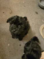 processed/95faa3ab-a964-4306-b849-3fd518abf66c/listing/ec737090-c9aa-426a-b15c-3e818d1d8874/4189c762-8e32-4a0c-9c54-19c9e8e48903