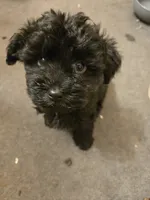 processed/95faa3ab-a964-4306-b849-3fd518abf66c/listing/ec737090-c9aa-426a-b15c-3e818d1d8874/5f1a0ebd-156f-4e1b-808d-852ebfbc889c