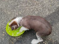 processed/95fc60d0-ec92-4581-a19a-2a1f7587a4d2/listing/187658dc-4226-4228-8dc6-ab658190720c/b2589ecf-fd1a-4d59-b8df-d5acaa5a7397