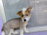 processed/95fc60d0-ec92-4581-a19a-2a1f7587a4d2/listing/187658dc-4226-4228-8dc6-ab658190720c/edf73248-5f4e-40ca-9157-72c47f870471