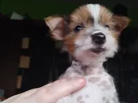 processed/95fc60d0-ec92-4581-a19a-2a1f7587a4d2/listing/187658dc-4226-4228-8dc6-ab658190720c/fab5e730-1e63-4a0c-b964-f6b2707d9446