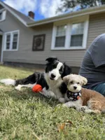 processed/96099d2d-684a-4792-a384-1a38532ab14a/listing/794d035b-eb7a-4914-9d34-b052b0bd5c6c/113cee8e-74b5-405a-86e5-e27103b0a96d