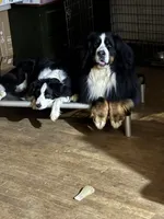 processed/96099d2d-684a-4792-a384-1a38532ab14a/listing/794d035b-eb7a-4914-9d34-b052b0bd5c6c/1ee29868-3c15-4d26-9fbe-2dc8fb1008cc