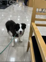 processed/96099d2d-684a-4792-a384-1a38532ab14a/listing/794d035b-eb7a-4914-9d34-b052b0bd5c6c/1fc63141-dd1c-455d-9ac2-4384a8dbae58