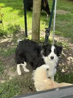 processed/96099d2d-684a-4792-a384-1a38532ab14a/listing/794d035b-eb7a-4914-9d34-b052b0bd5c6c/657c43bd-1601-4487-9d30-08fb7e6124b0