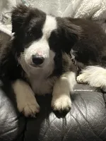 processed/96099d2d-684a-4792-a384-1a38532ab14a/listing/794d035b-eb7a-4914-9d34-b052b0bd5c6c/8b699dbf-7584-4472-835e-4017e15d781c