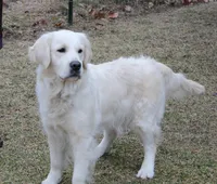 processed/96099d2d-684a-4792-a384-1a38532ab14a/listing/7c6d001a-1969-4bf6-bfeb-0d6ad2d147d2/9298d74d-7106-4e25-92b7-2389d333ab06