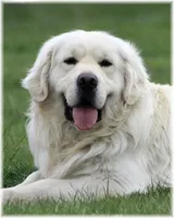 processed/96099d2d-684a-4792-a384-1a38532ab14a/listing/7c6d001a-1969-4bf6-bfeb-0d6ad2d147d2/d21cff91-d24c-46e8-88d7-af50bef114a1