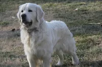 processed/96099d2d-684a-4792-a384-1a38532ab14a/listing/7c6d001a-1969-4bf6-bfeb-0d6ad2d147d2/fa849b03-4712-407c-9d7d-d612ddc5bf3b