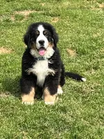 processed/96099d2d-684a-4792-a384-1a38532ab14a/listing/a0f1e272-4815-467c-a1c3-ea0b53e853c2/01e6595e-fdbf-4206-ab7f-9b2e35831fa3