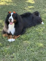 processed/96099d2d-684a-4792-a384-1a38532ab14a/listing/a0f1e272-4815-467c-a1c3-ea0b53e853c2/114ae38e-c0cb-4d04-898e-ec52b69ff1b2