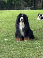 processed/96099d2d-684a-4792-a384-1a38532ab14a/listing/a0f1e272-4815-467c-a1c3-ea0b53e853c2/31710c3e-c1ed-4645-ae90-1c846365fcb4