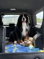 processed/96099d2d-684a-4792-a384-1a38532ab14a/listing/a0f1e272-4815-467c-a1c3-ea0b53e853c2/8e887918-74fb-4915-bd76-d310f89865b6