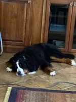 processed/96099d2d-684a-4792-a384-1a38532ab14a/listing/a0f1e272-4815-467c-a1c3-ea0b53e853c2/9aa32229-832b-4fdd-a407-e90f52d55cc3