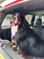 processed/96099d2d-684a-4792-a384-1a38532ab14a/listing/a0f1e272-4815-467c-a1c3-ea0b53e853c2/fdfedc5e-932e-4bfa-9838-f320a071464b